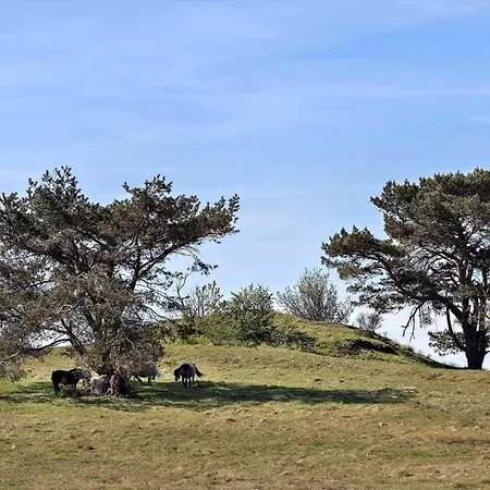 872-n-melby-reinsholmvej-15 펜션 *